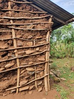 Kenya Spur Afrika 2021 - Holo Mothers